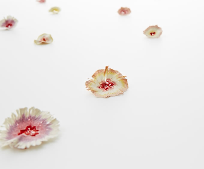 被削掉的鉛筆末盛開了花|創(chuàng)意小物設(shè)計