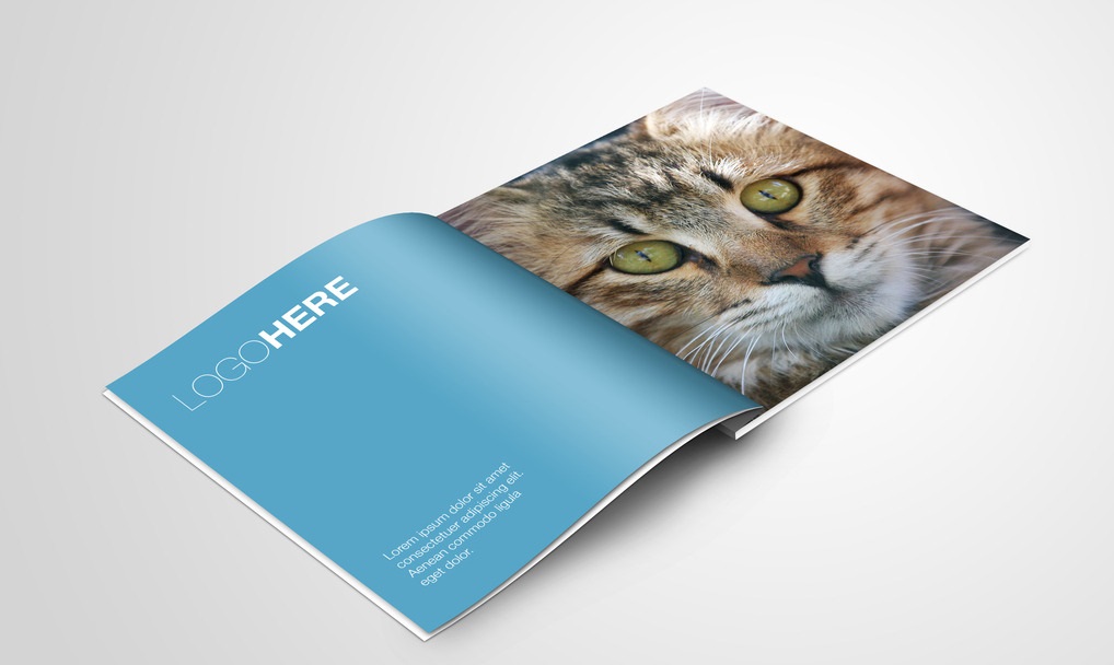 公司畫冊設計的要點