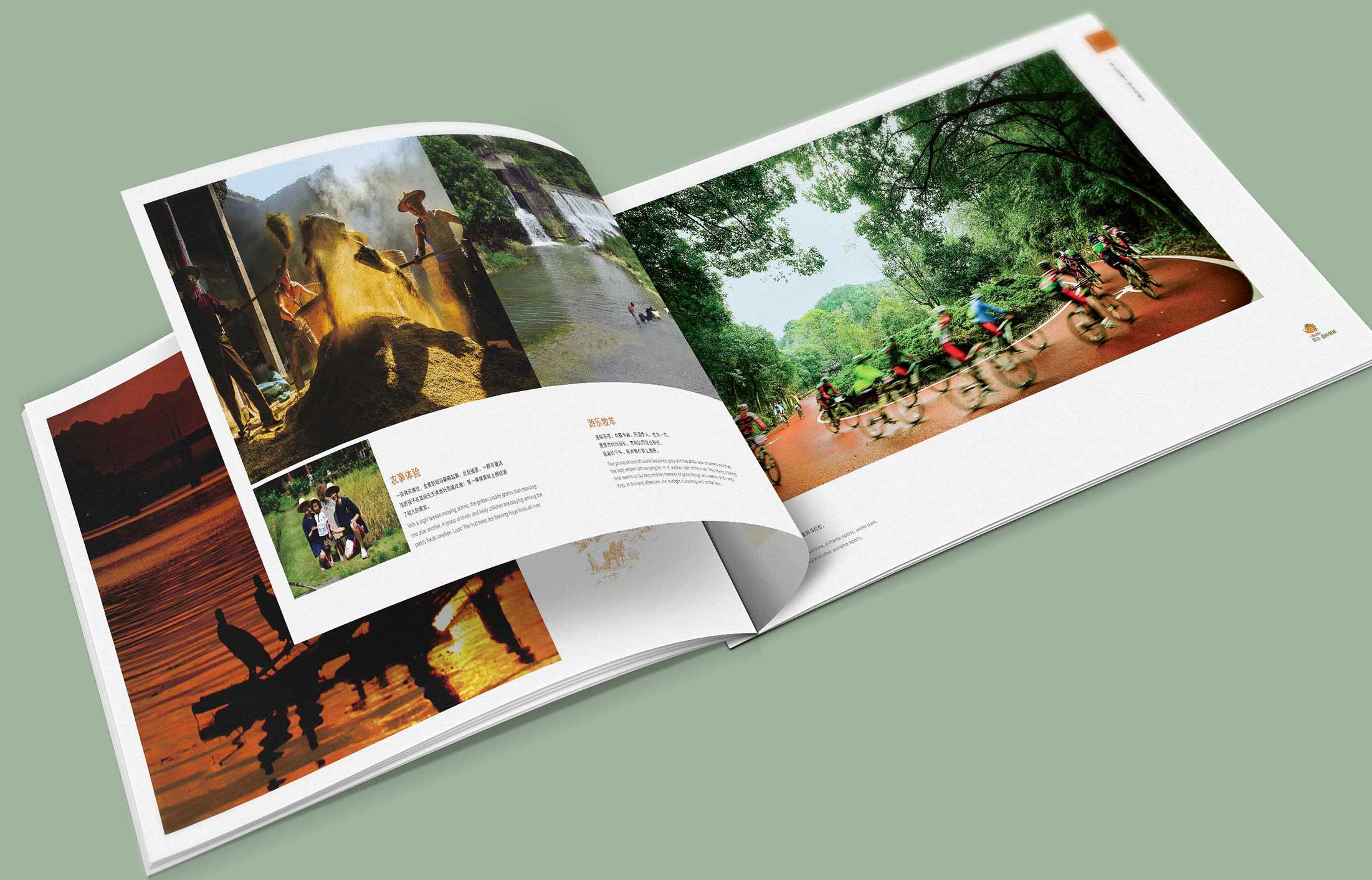 為什么這么說(shuō)政府畫(huà)冊(cè)十分重要