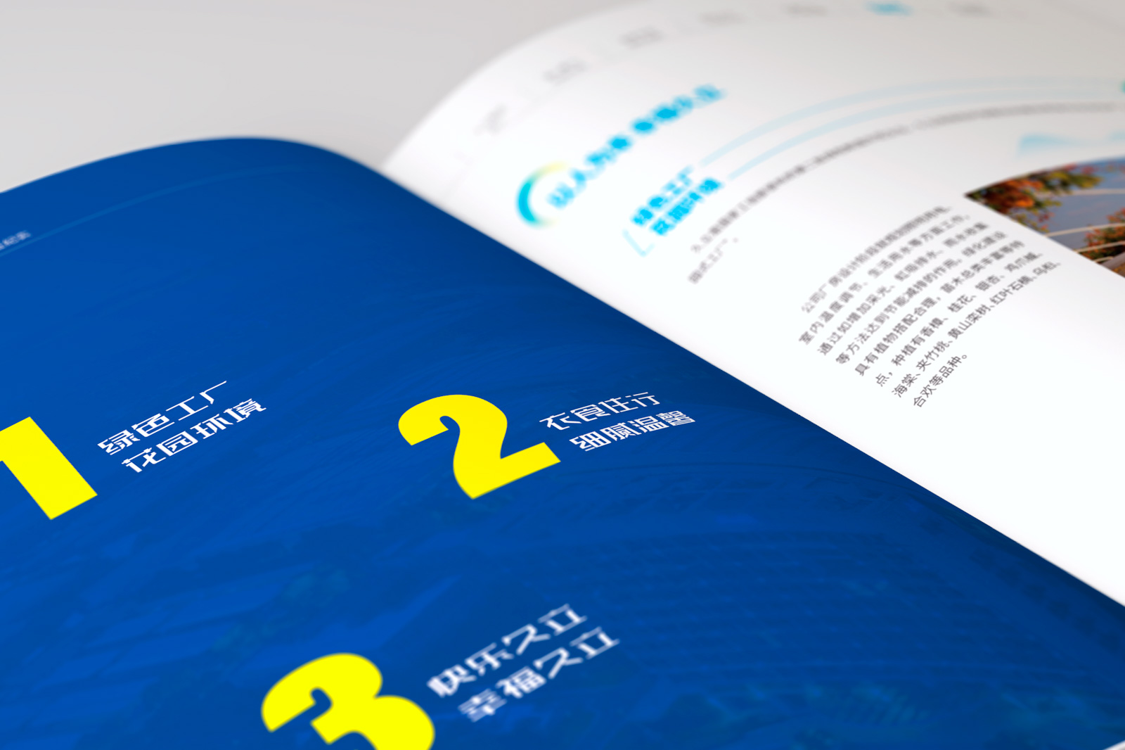 宣傳畫冊設計需要堅持的理念