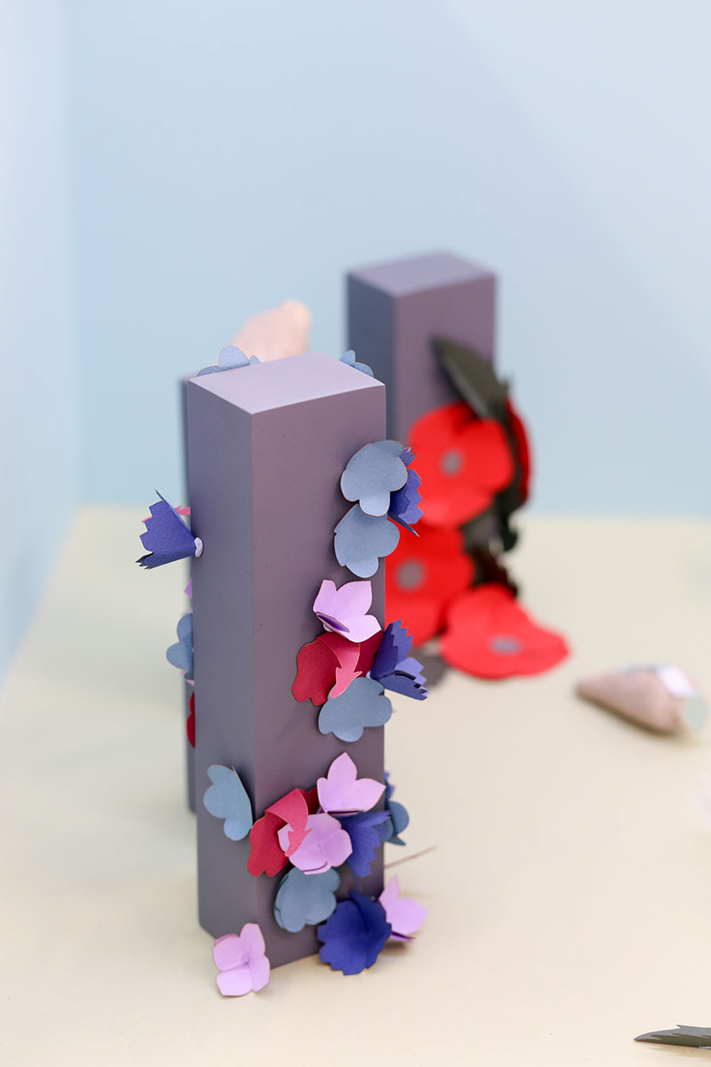 草甸種子創意包裝設計 草甸種子創意包裝設計