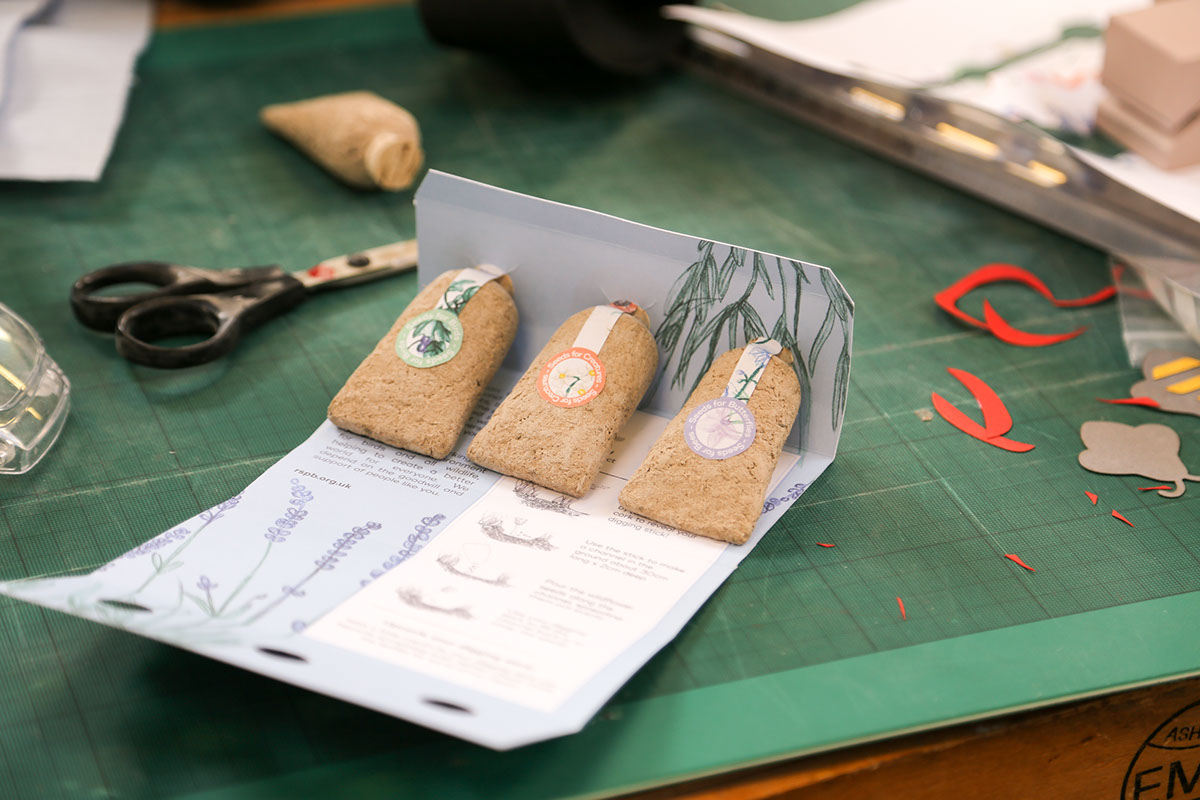 草甸種子創意包裝設計 草甸種子創意包裝設計