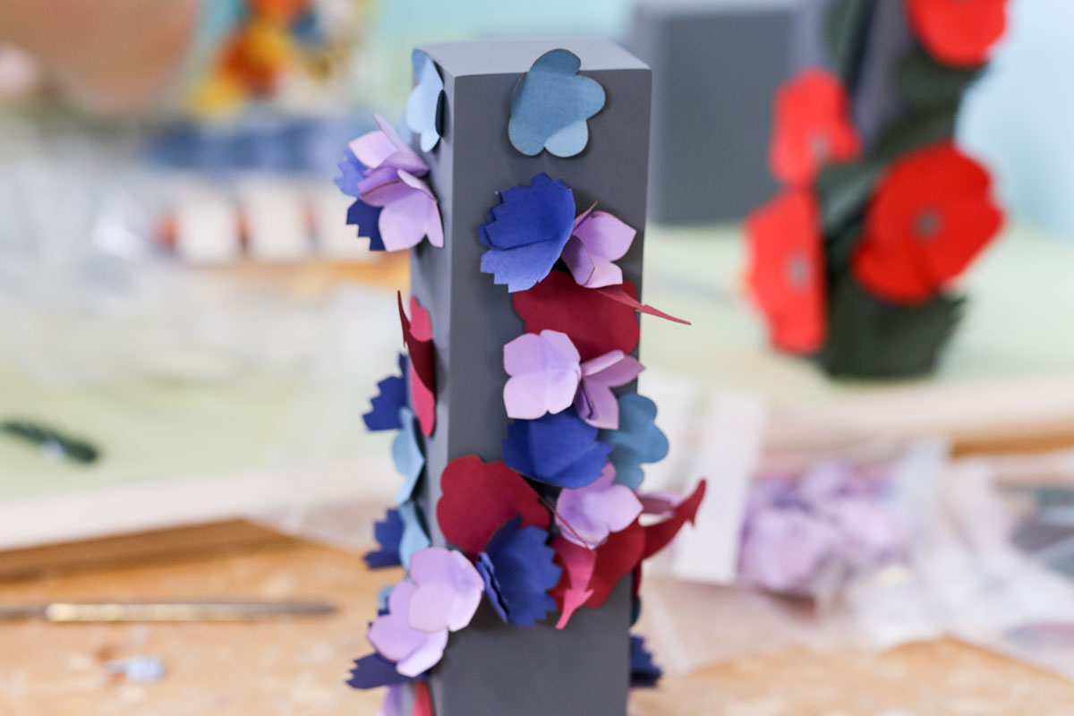 草甸種子創意包裝設計 草甸種子創意包裝設計