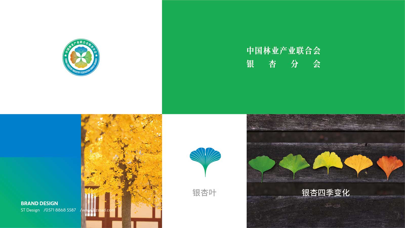 1627355932639969.jpg 1623109536149288.jpg