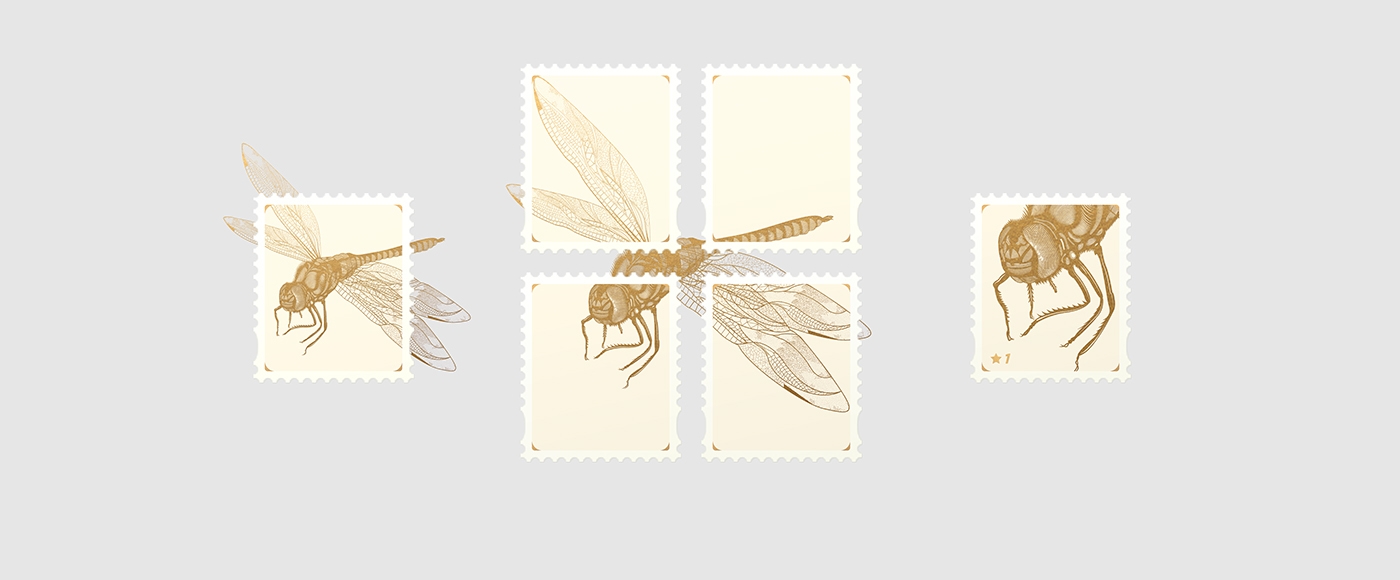 大自然的奇跡，蜻蜓主題的咖啡品牌包裝設(shè)計