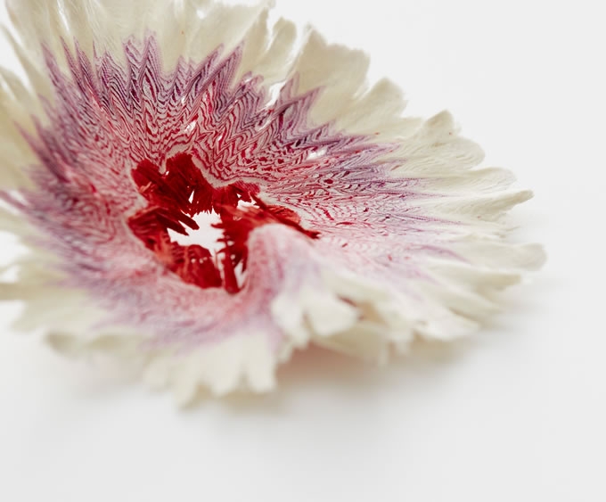 被削掉的鉛筆末盛開了花|創(chuàng)意小物設(shè)計